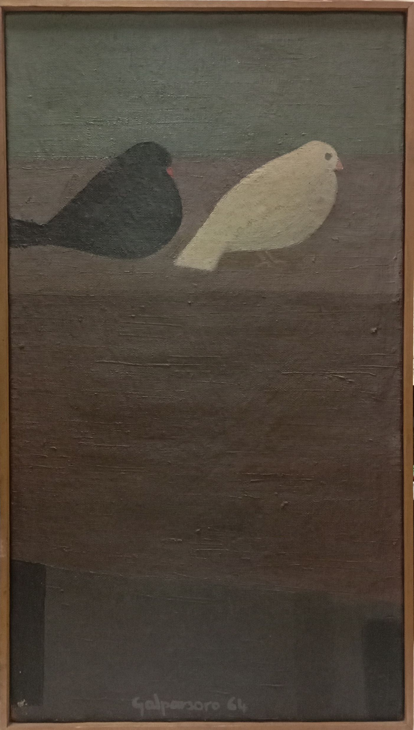 1964 Palomas 77x43 Óleo sobre lienzo_